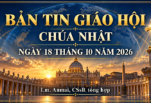 BẢN TIN GIÁO HỘI NGÀY 18 THÁNG 10 NĂM 2026 Chúa nhật XXIX Thường niên năm A Khánh nhật Truyền giáo Tin Mừng Mt 22,15–21 Lm. Anmai, CSsR.