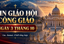 TIN GIÁO HỘI CÔNG GIÁO NGÀY 3 THÁNG 10 Lm. Anmai, CSsR tổng hợp