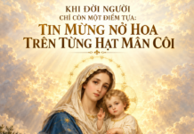 KHI ĐỜI NGƯỜI CHỈ CÒN MỘT ĐIỂM TỰA: TIN MỪNG NỞ HOA TRÊN TỪNG HẠT MÂN CÔI – Lm. Anmai, CSsR