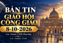 BẢN TIN GIÁO HỘI CÔNG GIÁO ngày 8 tháng 10 năm 2026 Linh mục Anmai, Dòng Chúa Cứu Thế tổng hợp