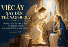 VIỆC ẤY XẢY ĐẾN THẾ NÀO ĐƯỢC? Những cuộc thụ thai lạ lùng trong Kinh Thánh, đọc như một lịch sử của ân sủng Lm. Anmai, CSsR