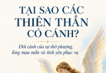TẠI SAO CÁC THIÊN THẦN CÓ CÁNH? Lm. Anmai, CSsR.
