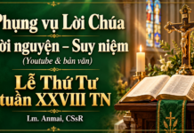 Phụng vụ Lời Chúa – Lời nguyện – Suy niệm (Youtube & bản văn) Lễ Thứ Tư tuần XXVIII TN – Lm. Anmai, CSsR – Lm. Anmai, CSsR
