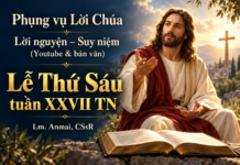Phụng vụ Lời Chúa – Lời nguyện – Suy niệm (Youtube & bản văn) Lễ Thứ Sáu tuần XXVII TN – Lm. Anmai, CSsR