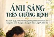 ÁNH SÁNG TRÊN GIƯỜNG BỆNH – Lm. Anmai, CSsR