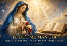 Phụng vụ Lời Chúa – Lời nguyện – Suy niệm (Youtube & bản văn) Lễ Đức Mẹ Mân Côi – Lm. Anmai, CSsR