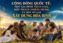 CỘNG ĐỒNG QUỐC TẾ: MỘT GIA ĐÌNH NHÂN LOẠI, MỘT TRÁCH NHIỆM CHUNG VÀ MỘT ƠN GỌI XÂY DỰNG HÒA BÌNH Lm. Anmai, CSsR.