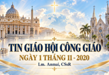 TIN GIÁO HỘI CÔNG GIÁO Ngày 1 tháng 11 năm 2026 Linh mục Anmai, CSsR tổng hợp